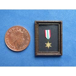 WW11 Italy Star